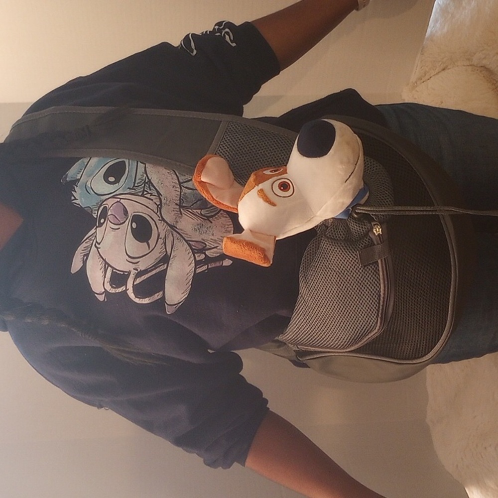 Crossbody small Pet carrier.